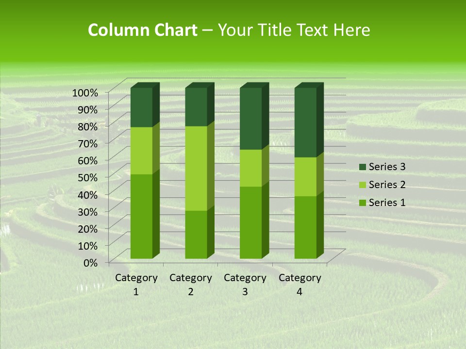 Travel Vacation Culture PowerPoint Template