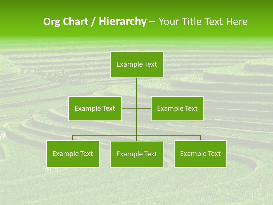 Travel Vacation Culture PowerPoint Template