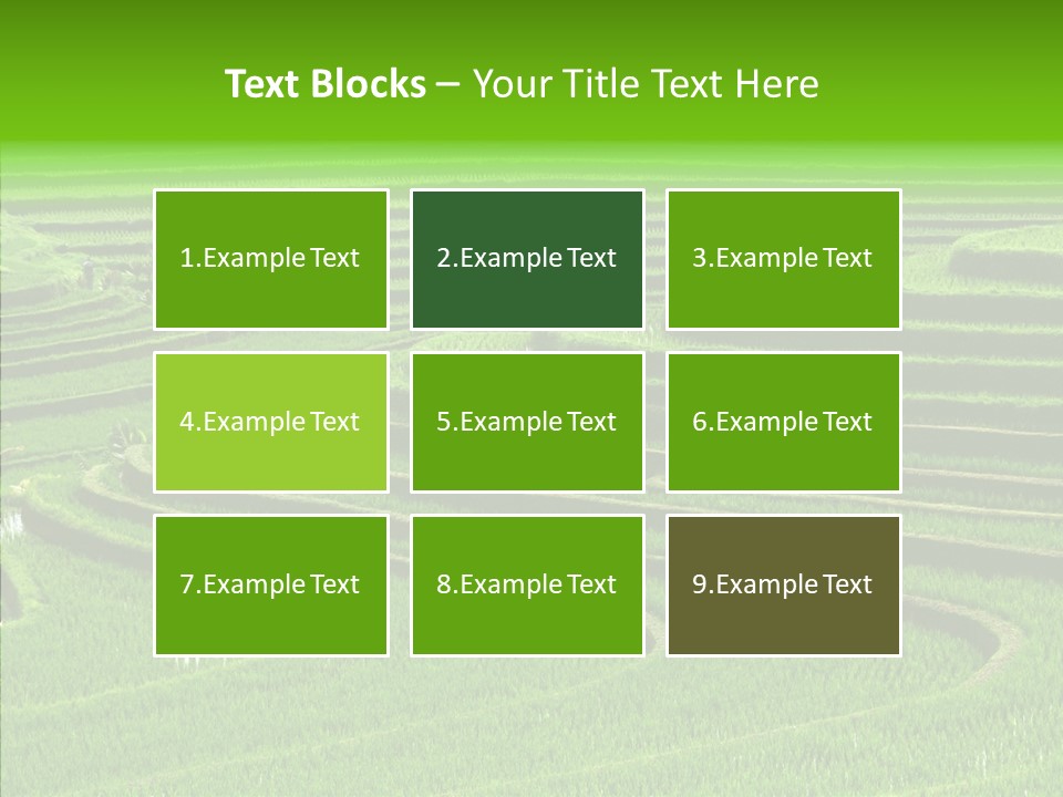 Travel Vacation Culture PowerPoint Template