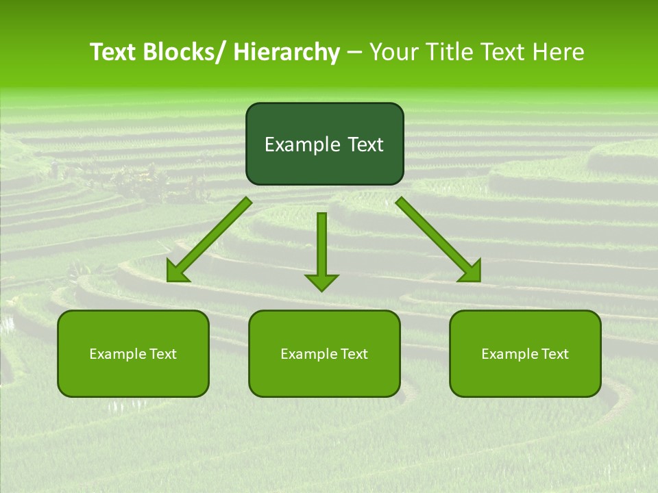 Travel Vacation Culture PowerPoint Template