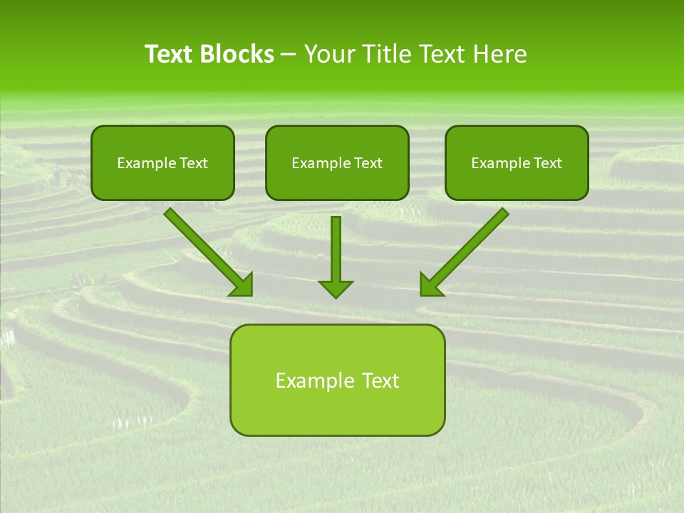 Travel Vacation Culture PowerPoint Template