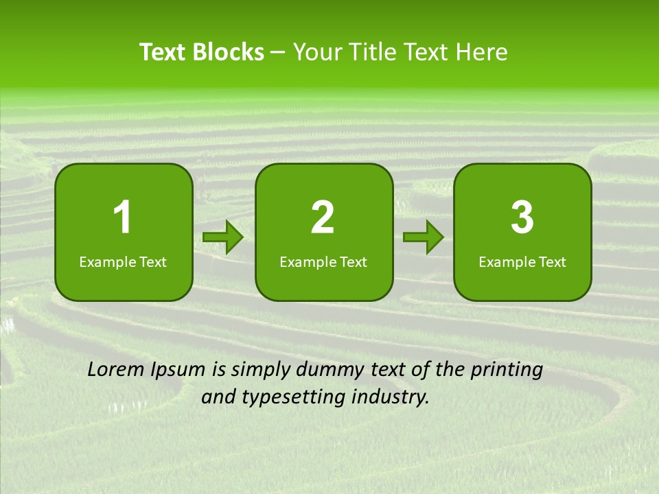 Travel Vacation Culture PowerPoint Template