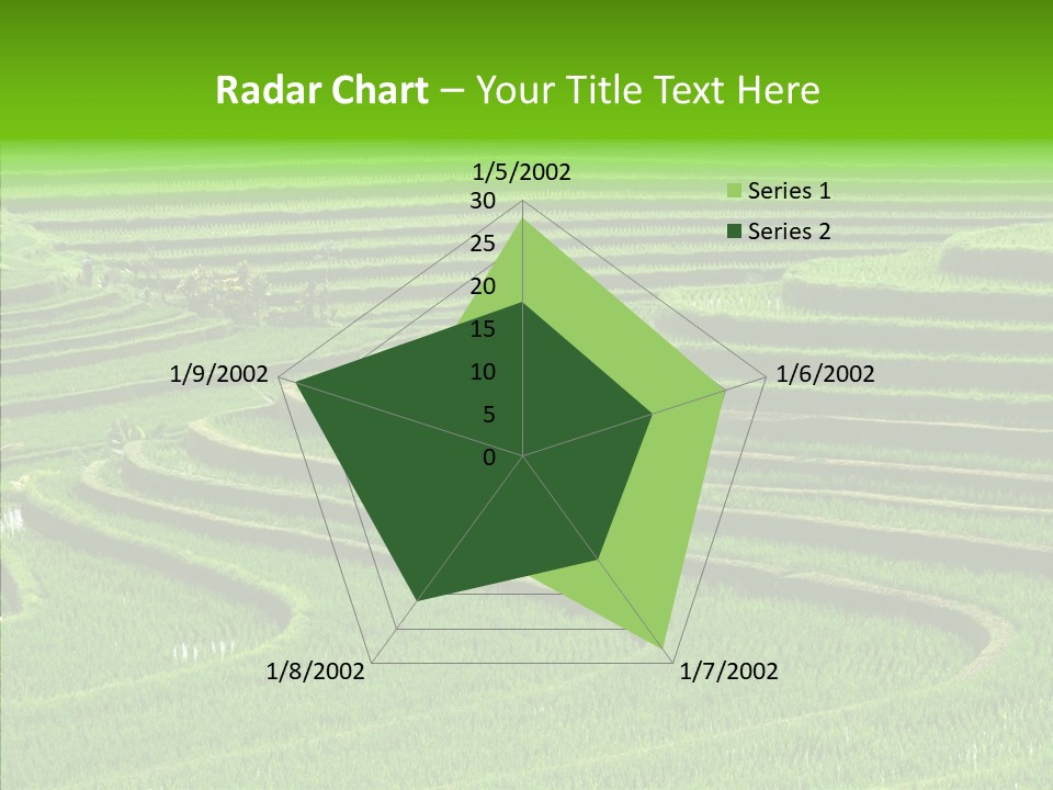 Travel Vacation Culture PowerPoint Template