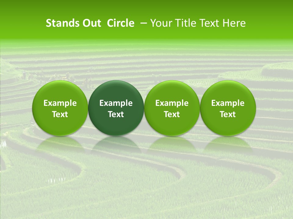 Travel Vacation Culture PowerPoint Template