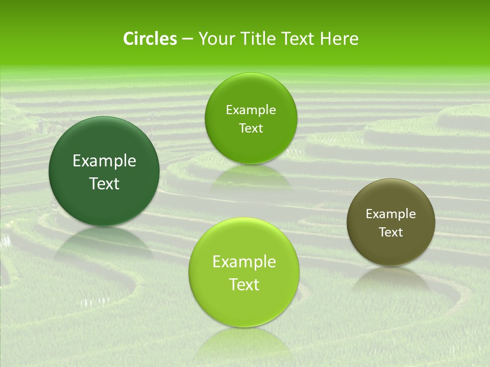 Travel Vacation Culture PowerPoint Template