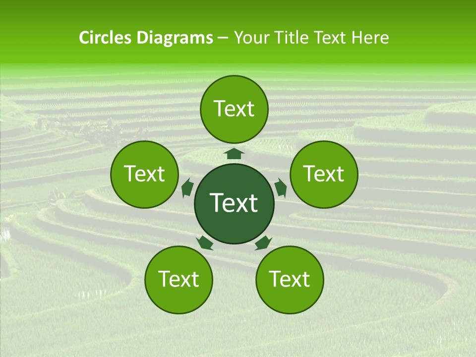 Travel Vacation Culture PowerPoint Template