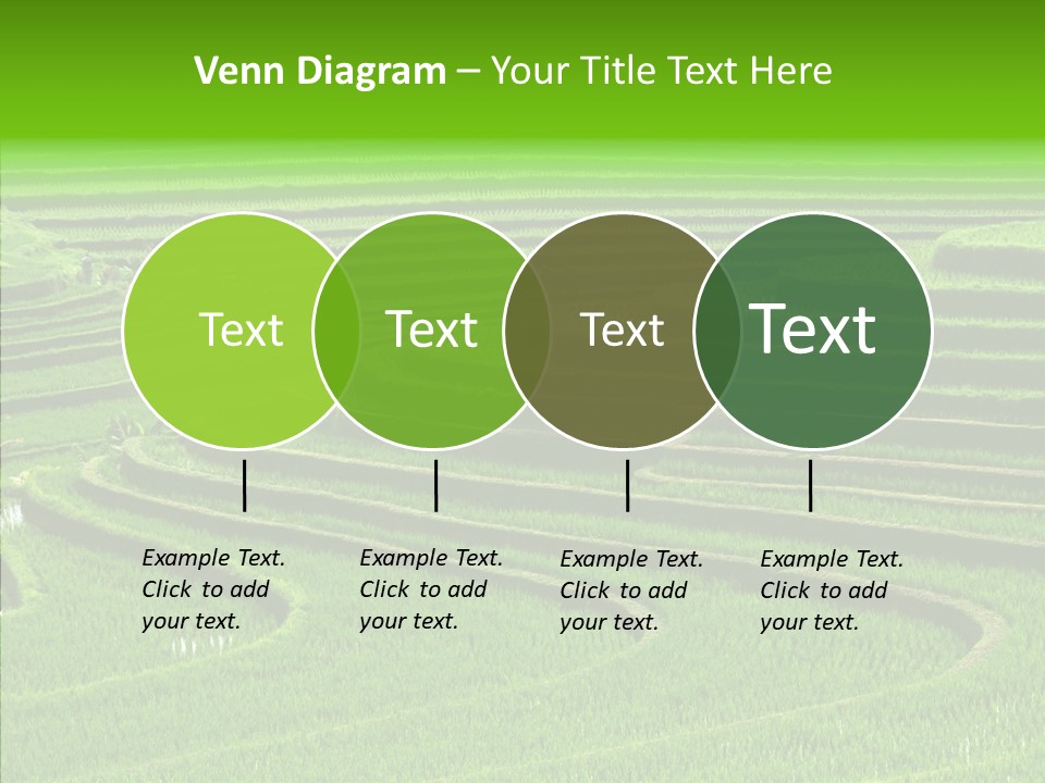 Travel Vacation Culture PowerPoint Template