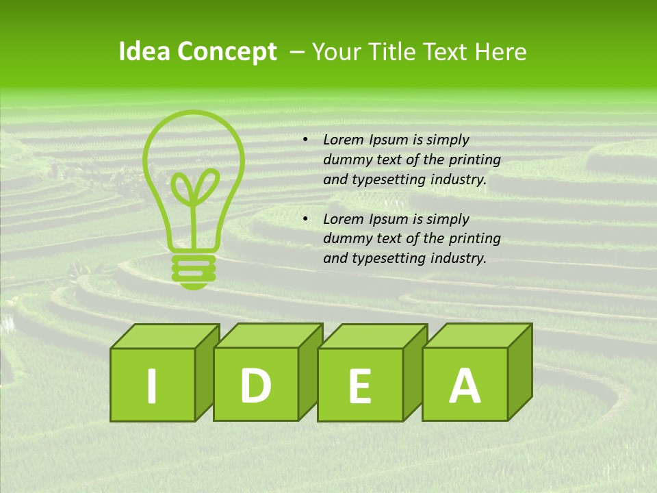 Travel Vacation Culture PowerPoint Template