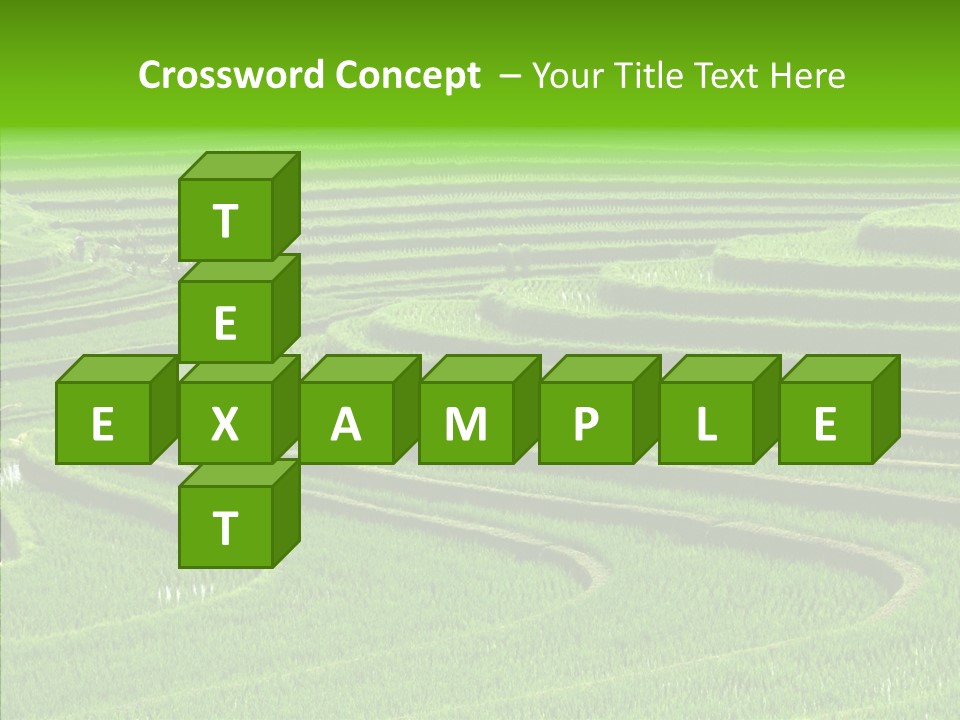 Travel Vacation Culture PowerPoint Template