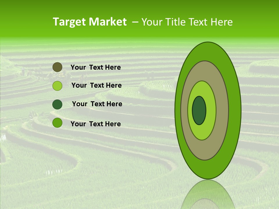 Travel Vacation Culture PowerPoint Template