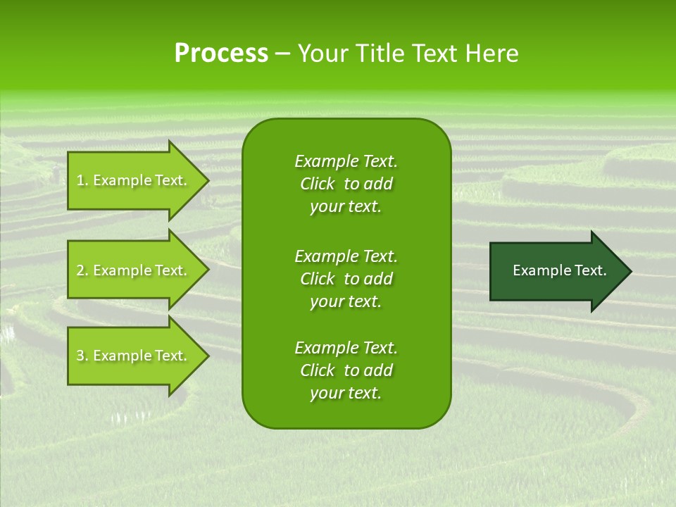 Travel Vacation Culture PowerPoint Template