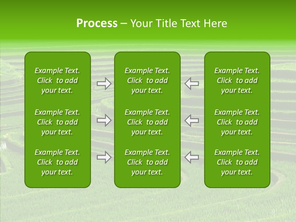 Travel Vacation Culture PowerPoint Template