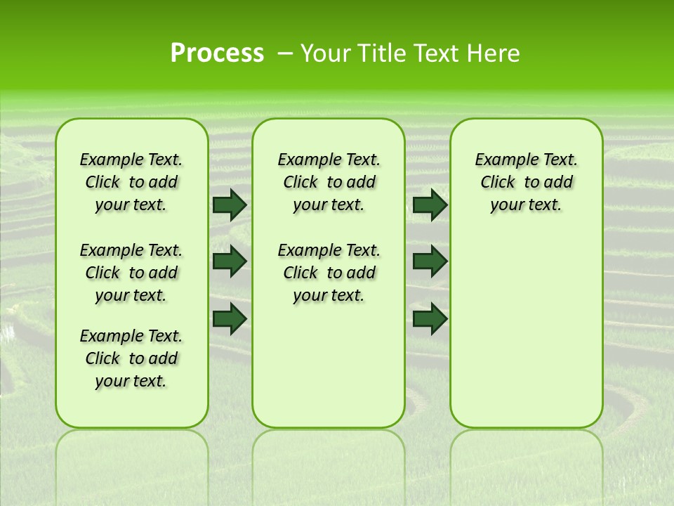 Travel Vacation Culture PowerPoint Template