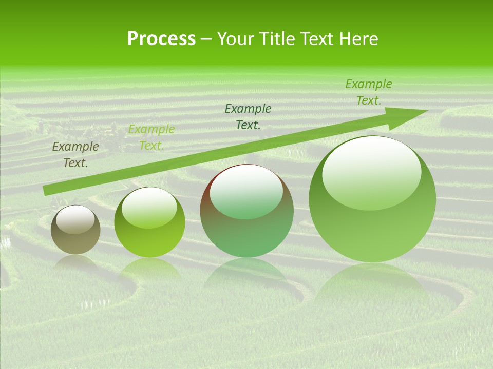 Travel Vacation Culture PowerPoint Template