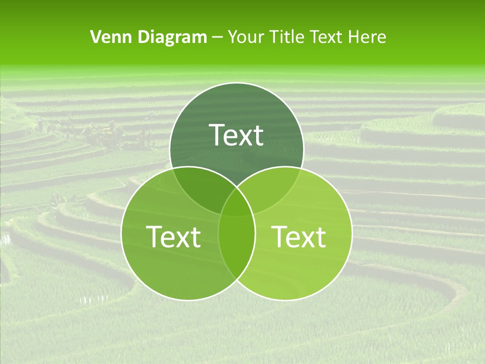 Travel Vacation Culture PowerPoint Template