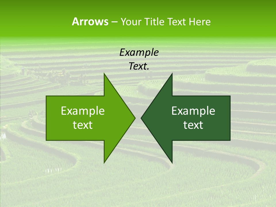 Travel Vacation Culture PowerPoint Template