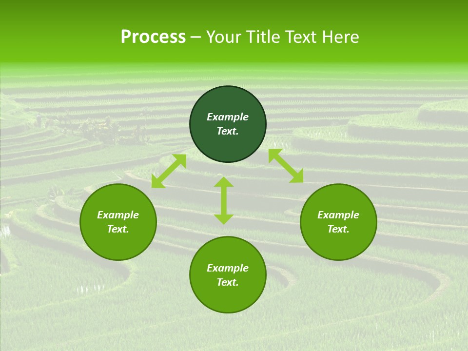 Travel Vacation Culture PowerPoint Template