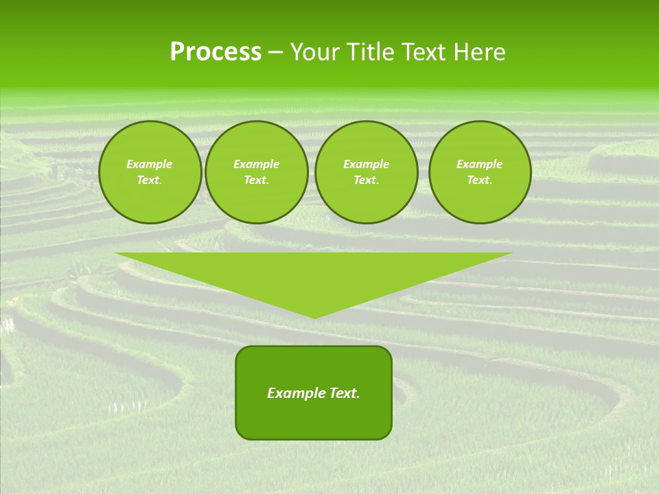 Travel Vacation Culture PowerPoint Template