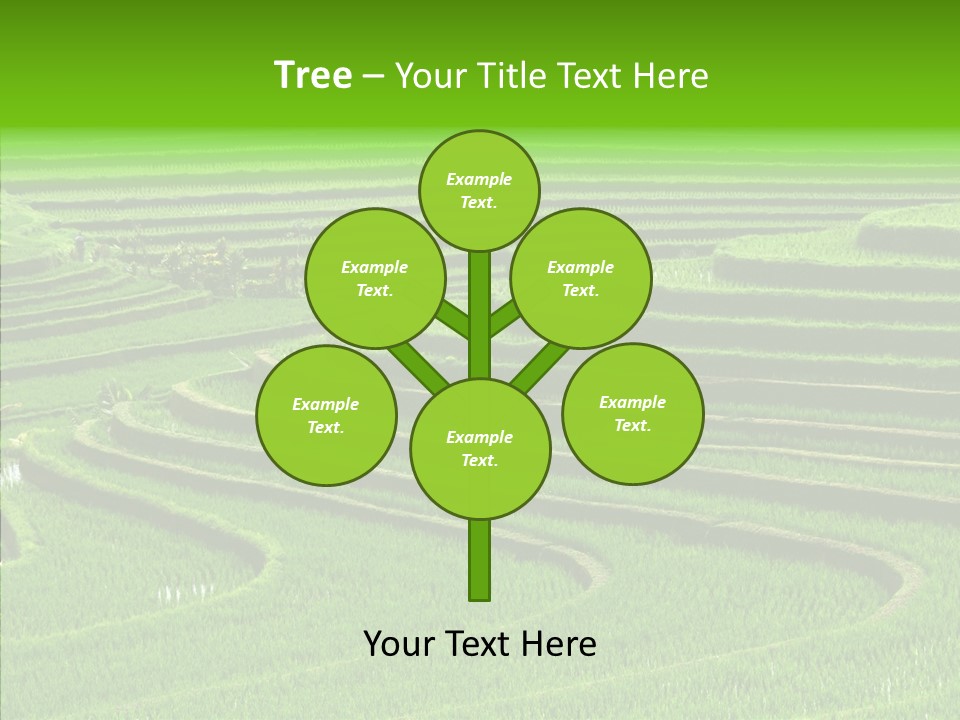 Travel Vacation Culture PowerPoint Template