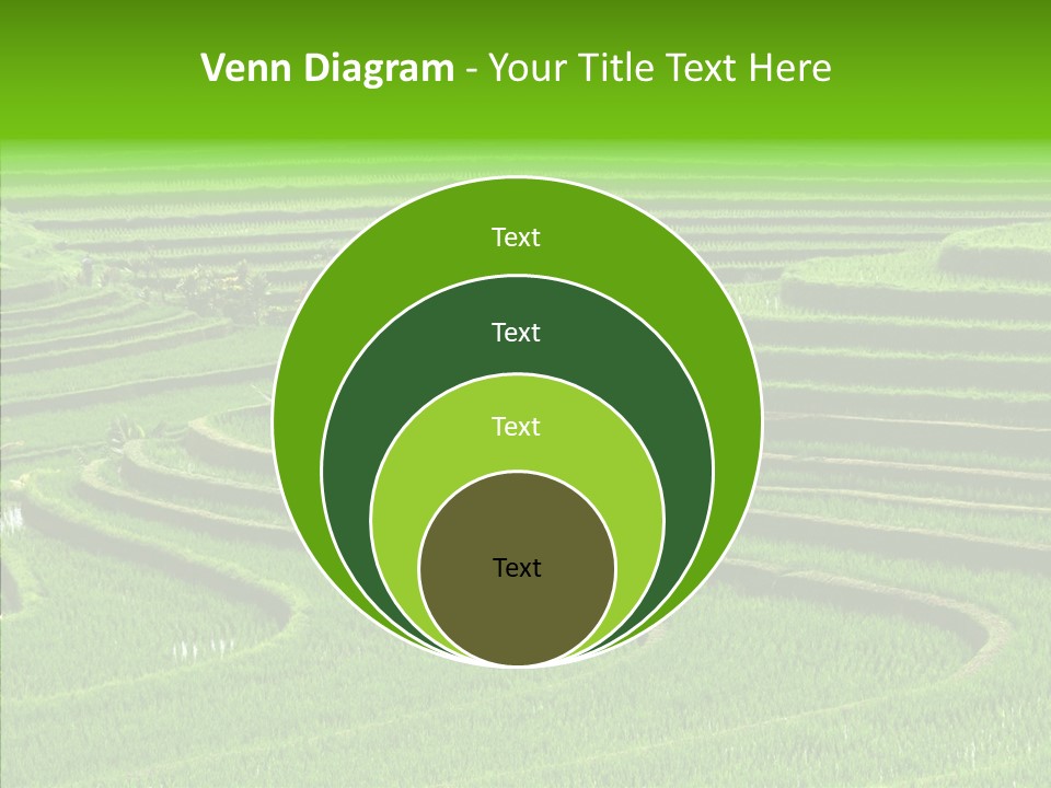 Travel Vacation Culture PowerPoint Template