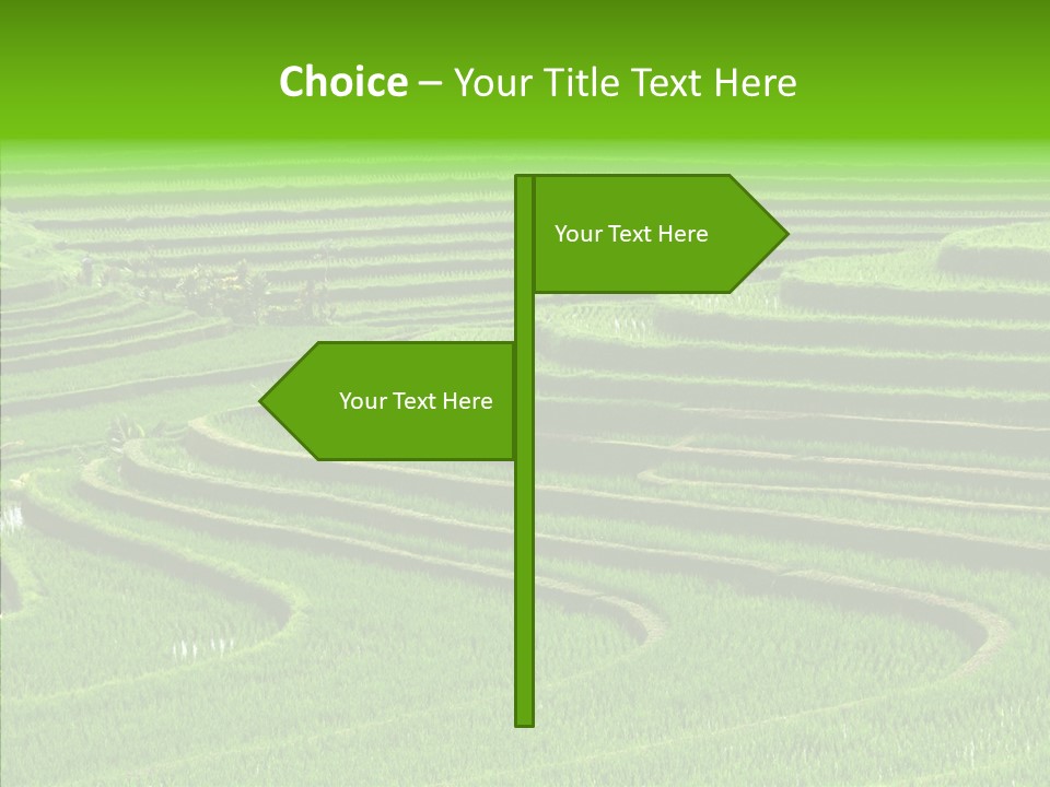 Travel Vacation Culture PowerPoint Template