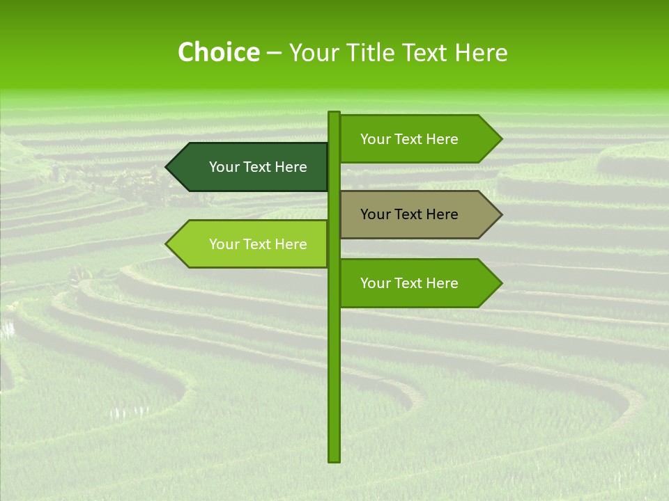 Travel Vacation Culture PowerPoint Template