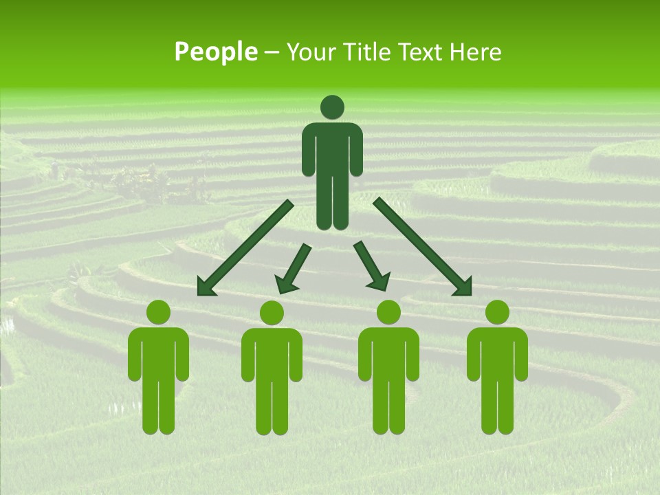 Travel Vacation Culture PowerPoint Template