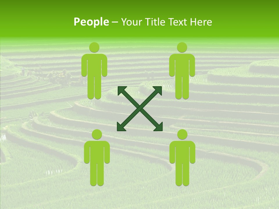 Travel Vacation Culture PowerPoint Template