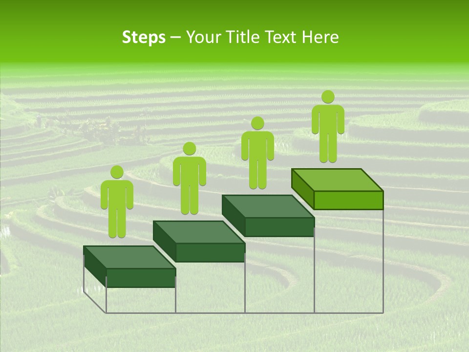 Travel Vacation Culture PowerPoint Template