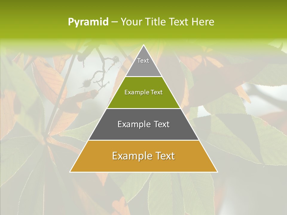 Light Forest Leaf PowerPoint Template