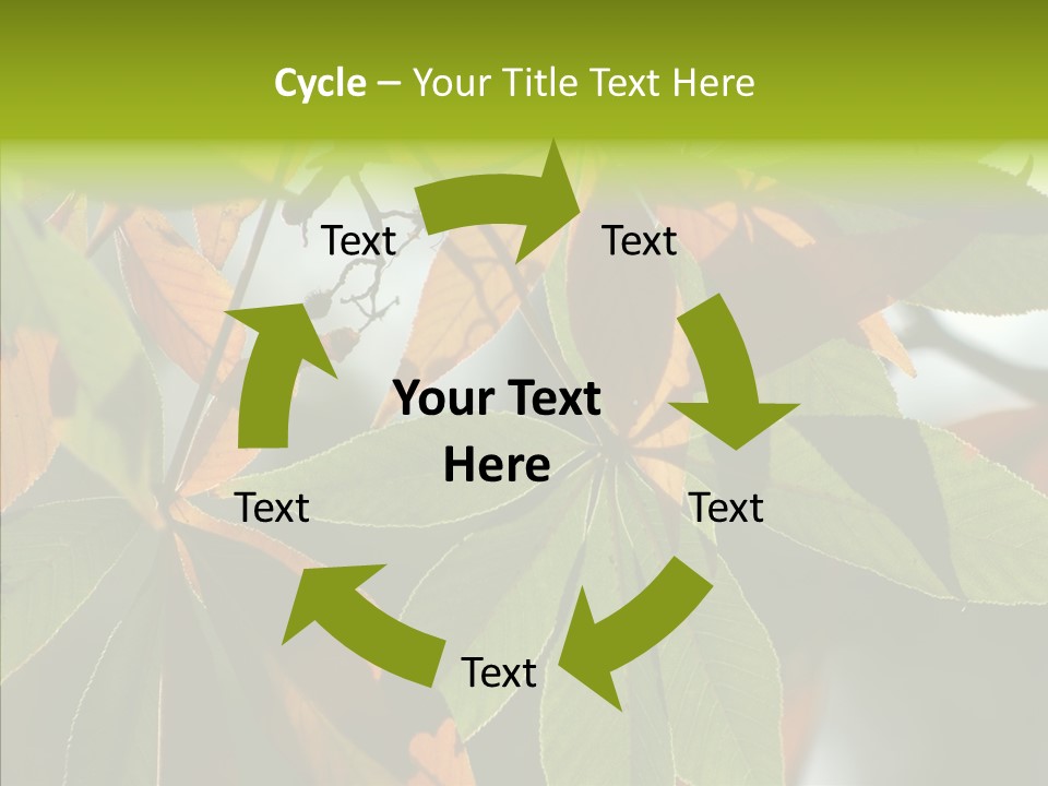 Light Forest Leaf PowerPoint Template