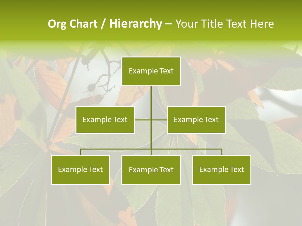 Light Forest Leaf PowerPoint Template