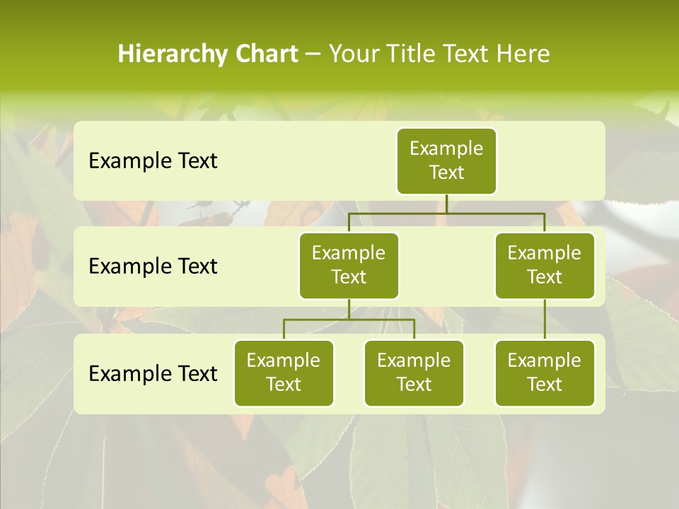 Light Forest Leaf PowerPoint Template