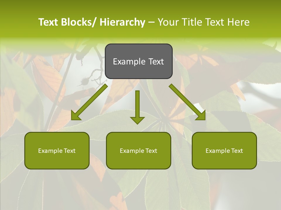 Light Forest Leaf PowerPoint Template