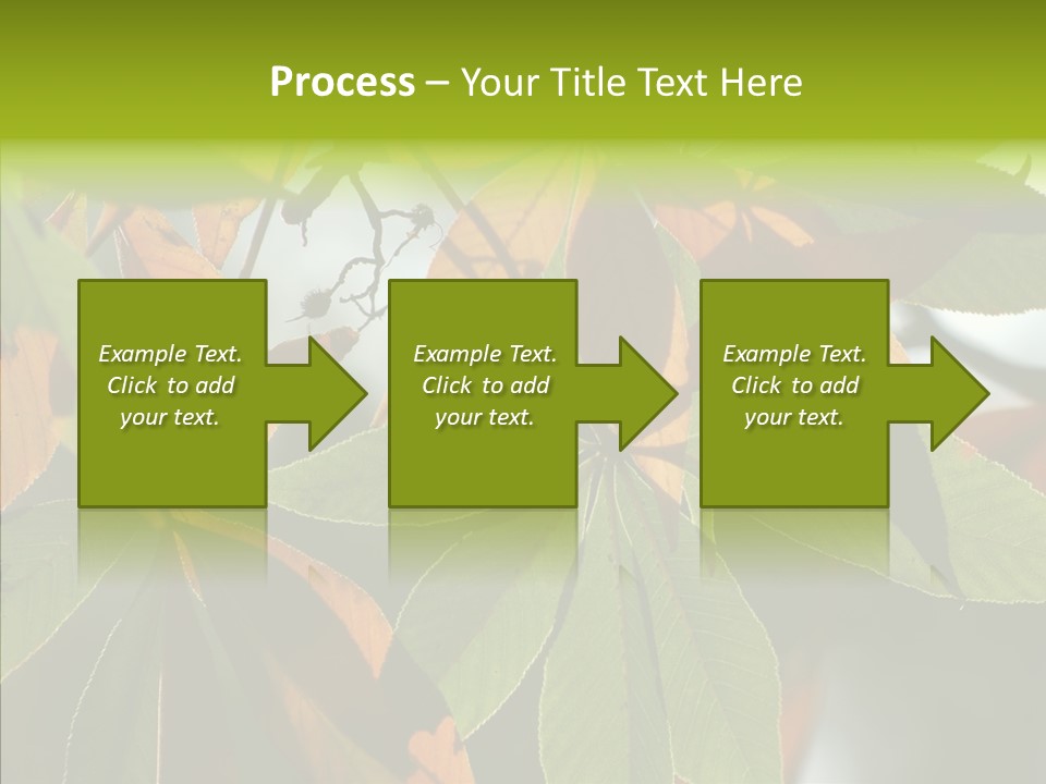 Light Forest Leaf PowerPoint Template