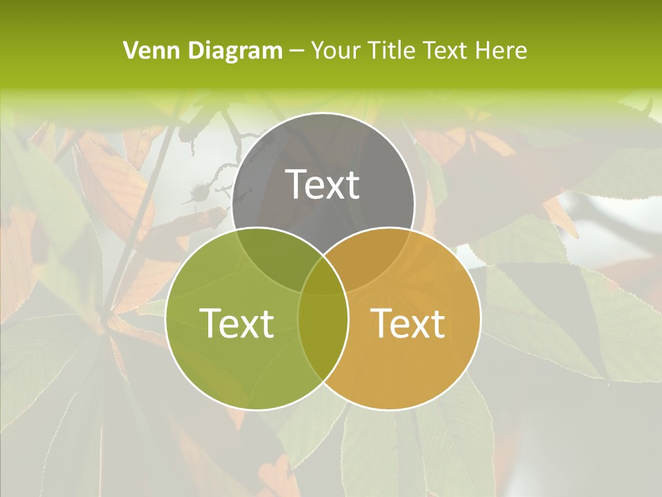 Light Forest Leaf PowerPoint Template