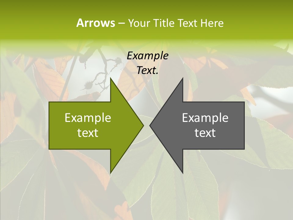 Light Forest Leaf PowerPoint Template