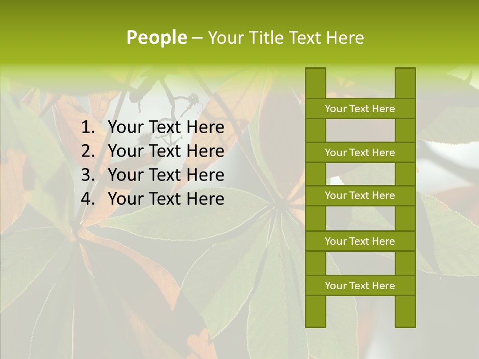 Light Forest Leaf PowerPoint Template