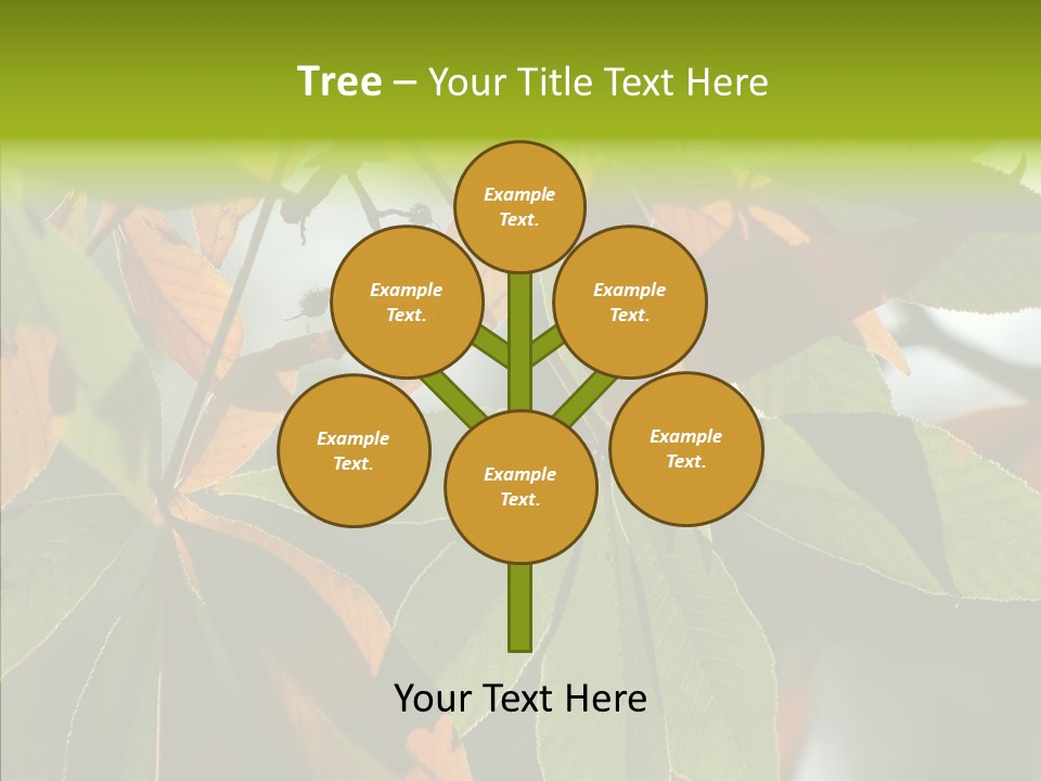 Light Forest Leaf PowerPoint Template