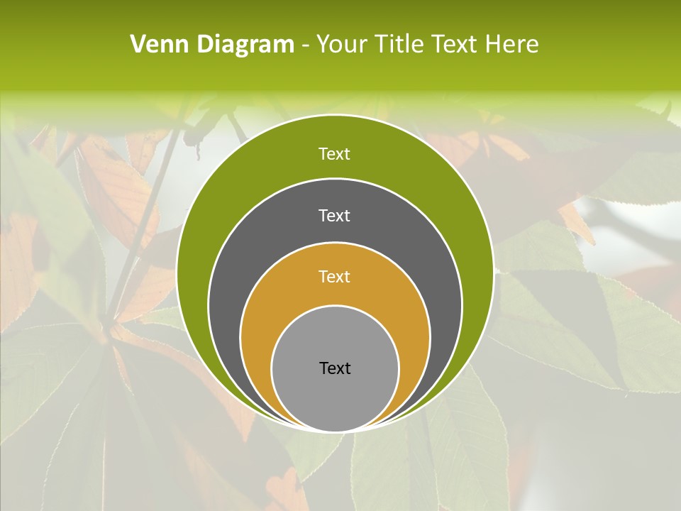 Light Forest Leaf PowerPoint Template