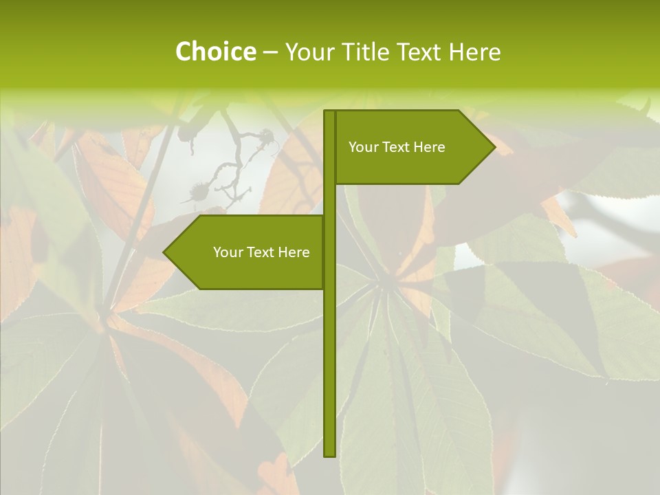 Light Forest Leaf PowerPoint Template
