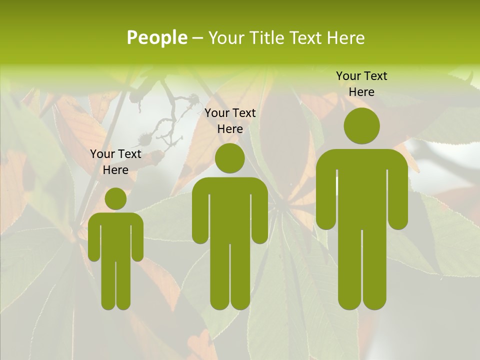 Light Forest Leaf PowerPoint Template