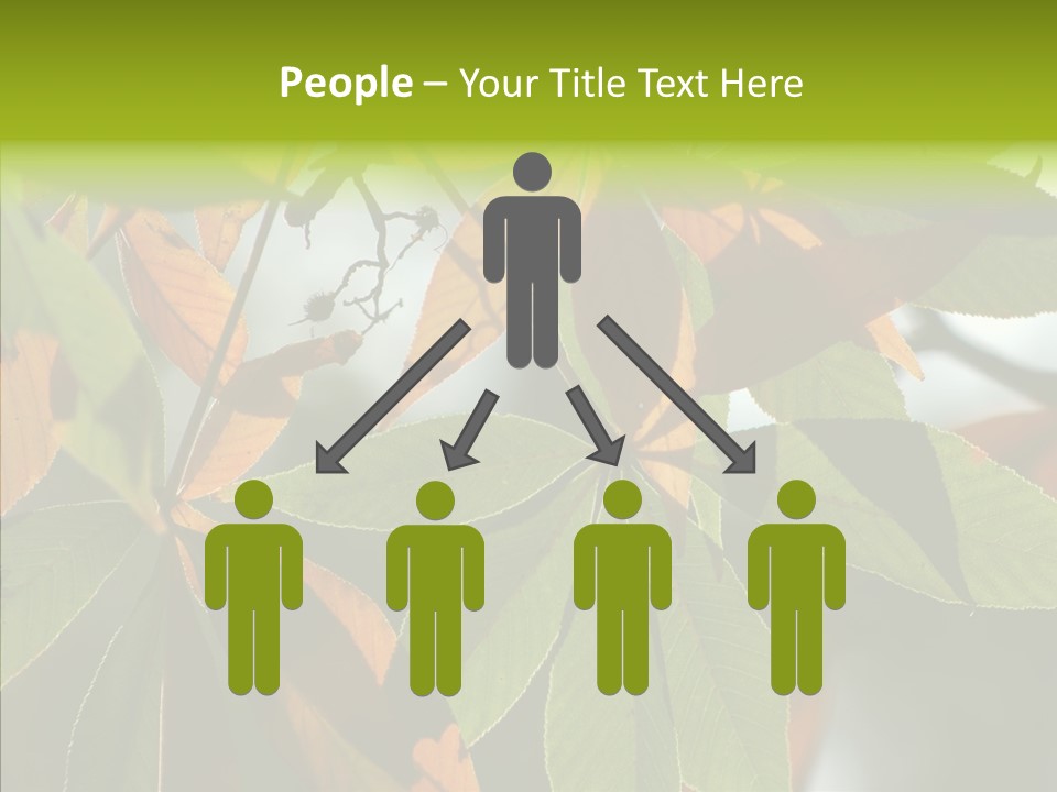 Light Forest Leaf PowerPoint Template