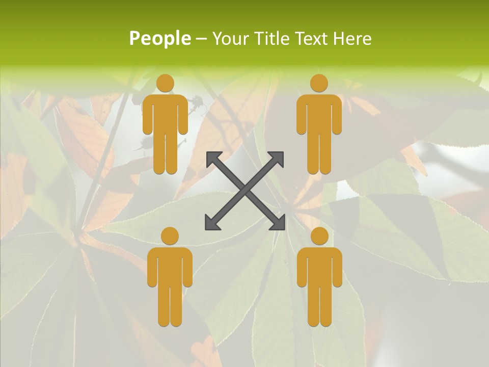 Light Forest Leaf PowerPoint Template