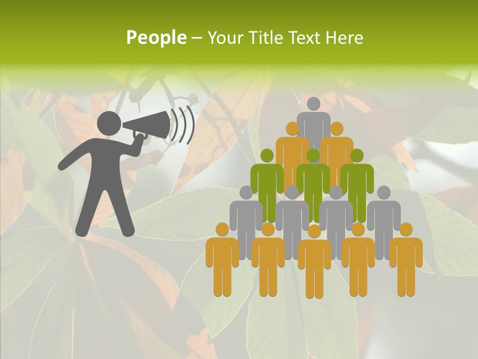 Light Forest Leaf PowerPoint Template