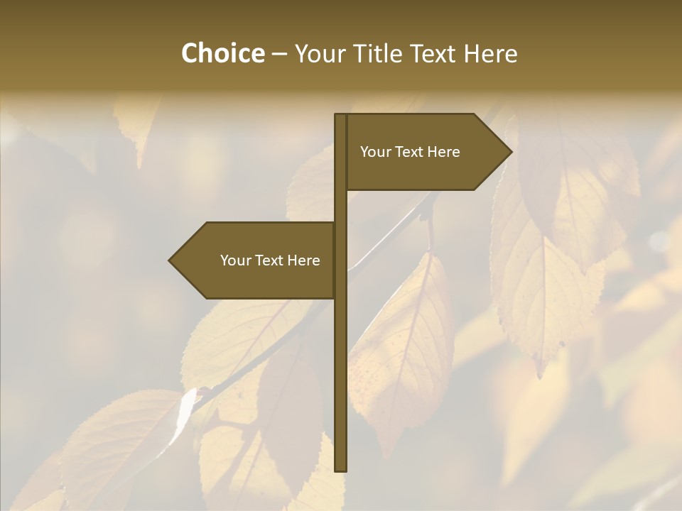 Communication Office Toon PowerPoint Template