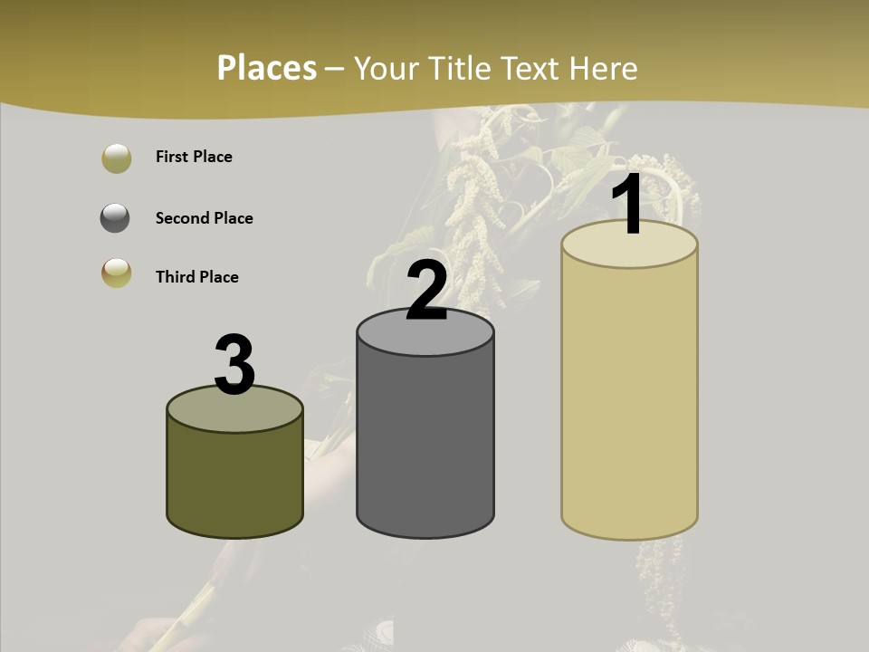 Girl Femininity Indonesian PowerPoint Template