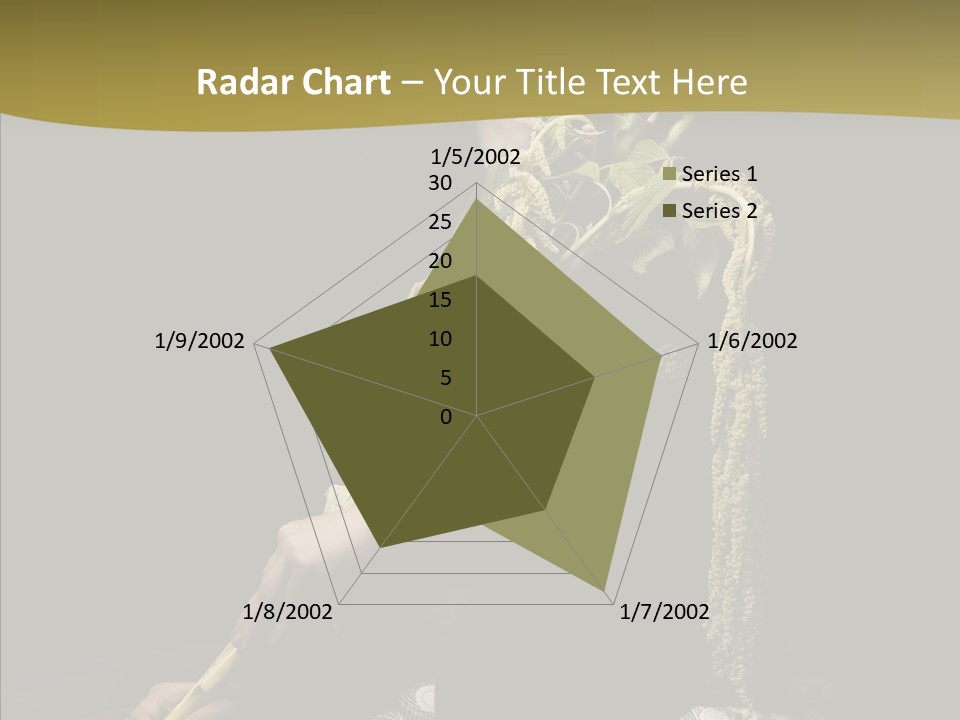 Girl Femininity Indonesian PowerPoint Template