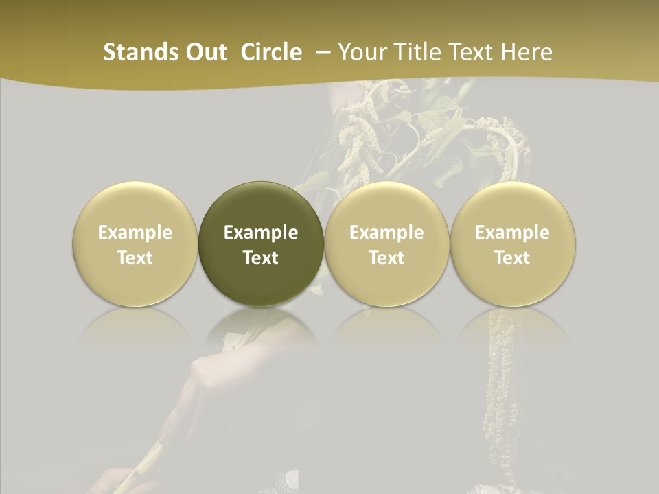 Girl Femininity Indonesian PowerPoint Template