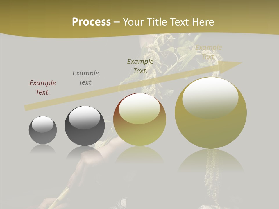 Girl Femininity Indonesian PowerPoint Template